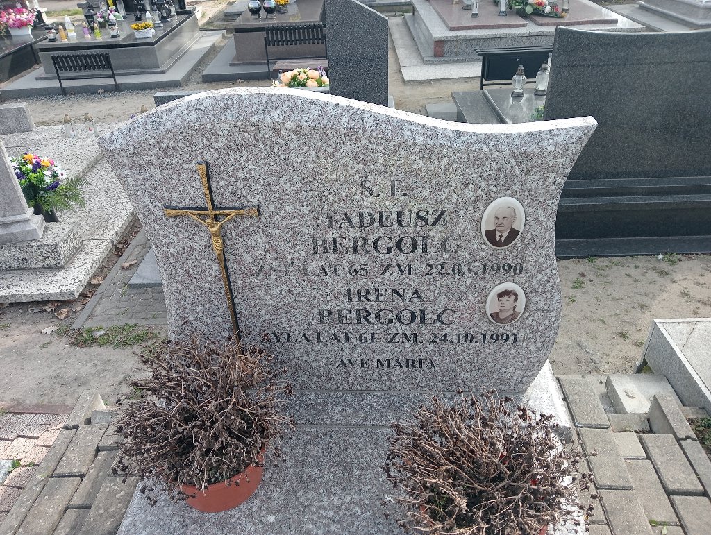 Grób Tadeusz Bergolc