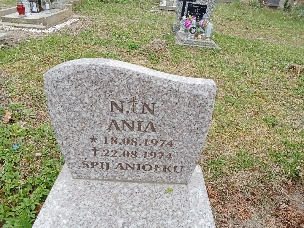 Grób Anna Nn